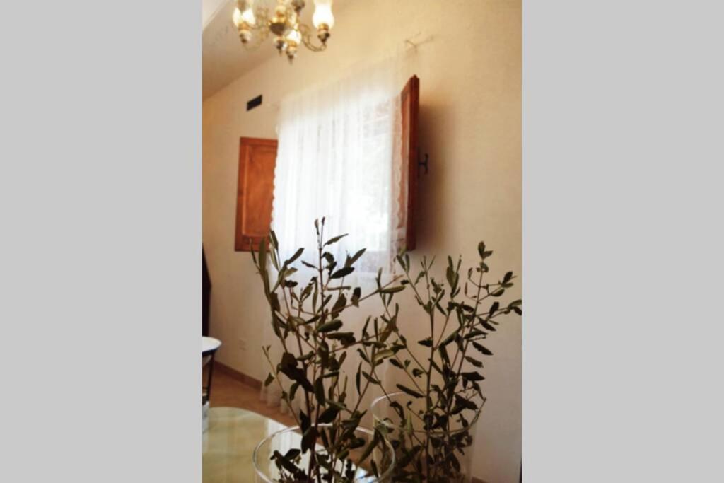Trulli Monteforte Villa Castelli Экстерьер фото