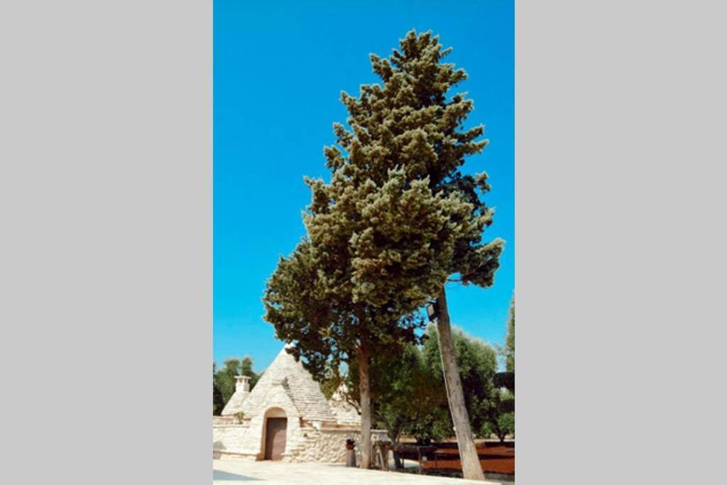 Trulli Monteforte Villa Castelli Экстерьер фото