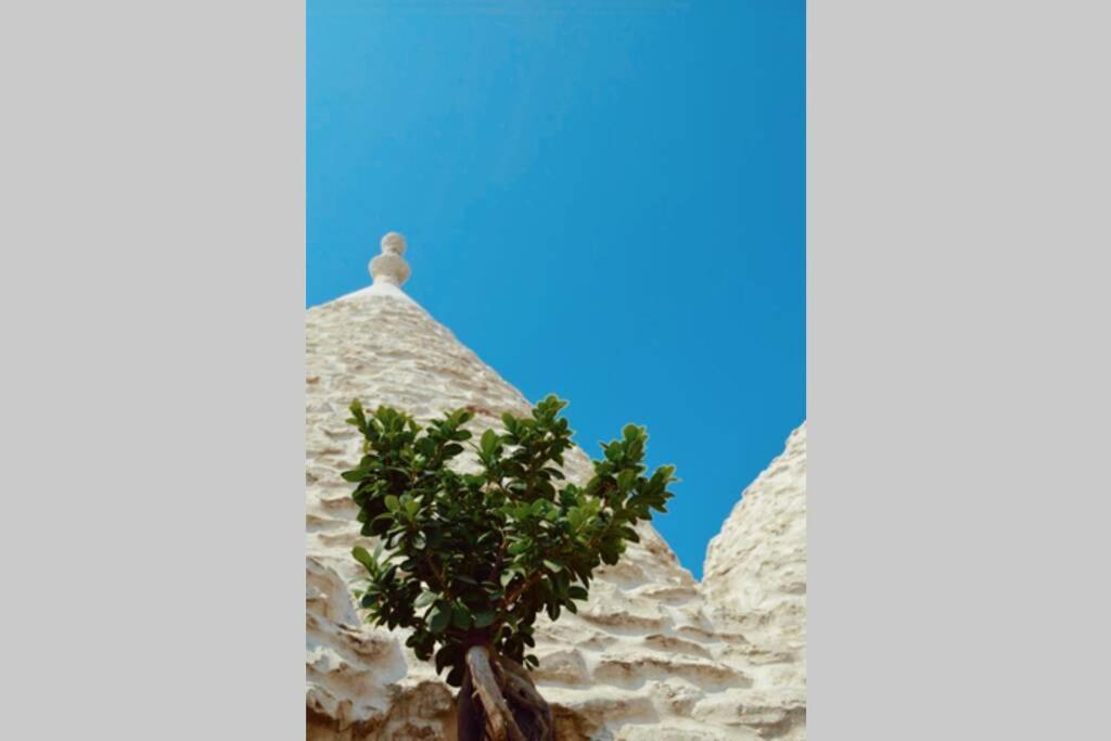 Trulli Monteforte Villa Castelli Экстерьер фото
